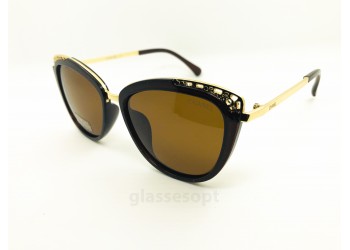 Polarized 8247 Ch Коричневый