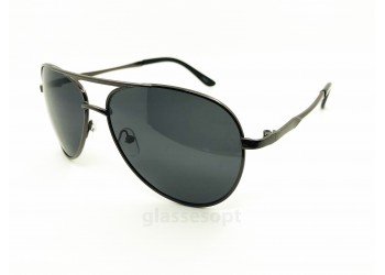 Everon Polarized 3001 Сталь/черный