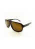 Поляризованные солнцезащитные очки 3140 Graffito Глянцевый коричневый