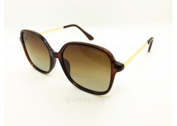 Polarized 4241 Ch Коричневий