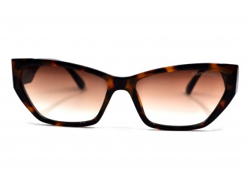 Сонцезахисні окуляри 2091 DG Коричневий Леопардовий