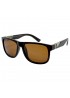 Поляризовані сонцезахисні окуляри 3188/2 Graffito Polarized Коричневий Глянсовий