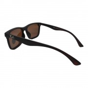 Поляризовані сонцезахисні окуляри 703 R.B Коричневий Матовий
