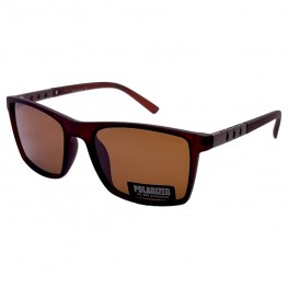 POLAR EAGLE polarized 03004 коричневий