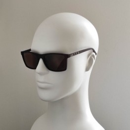 POLAR EAGLE polarized 03004 коричневий