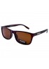 POLAR EAGLE polarized 02284 коричневий