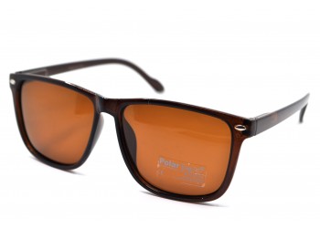 POLAR EAGLE polarized 02033 коричневий