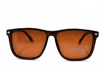 POLAR EAGLE polarized 02033 коричневий
