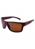 Поляризовані сонцезахисні окуляри 02058 Polar Eagle Polarized Коричневий Глянсовий