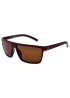 Поляризовані сонцезахисні окуляри 02007 Polar Eagle Polarized Коричневий Матовий