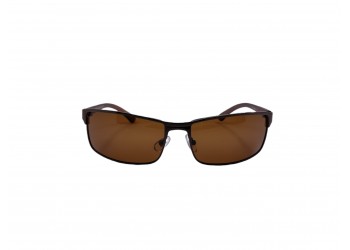 POLAR EAGLE polarized 0358 коричневий