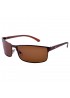 POLAR EAGLE polarized 0358 коричневий