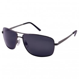 POLAR EAGLE polarized 0347 сталь/черный