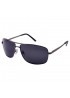 POLAR EAGLE polarized 0347 сталь/чорний