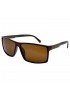 Поляризовані сонцезахисні окуляри 3221 Graffito Polarized Коричневий Глянсовий