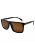 Поляризовані сонцезахисні окуляри 3216 Graffito Polarized Коричневий Глянсовий