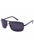 POLAR EAGLE polarized 6205 сталь/чорний