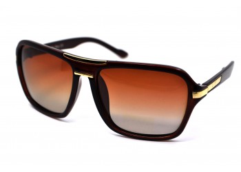 Polarized  8422 NN Коричневый