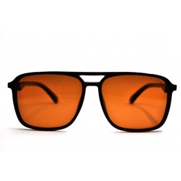 Поляризованные солнцезащитные очки 841 PD Коричневый Глянцевый