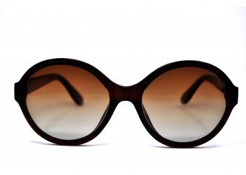 Polarized 5387 Ch Коричневий
