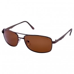 POLAR EAGLE polarized 0432 коричневий