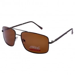POLAR EAGLE polarized 0430 коричневий