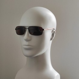 ALLUMINIUM polarized 318 коричневий