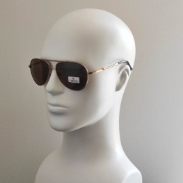 Поляризовані сонцезахисні окуляри 3001 Everon Polarized Бронзове Золото/Коричневий