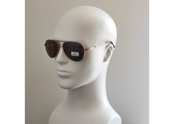 Поляризовані сонцезахисні окуляри 3001 Everon Polarized Бронзове Золото/Коричневий