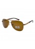 Поляризовані сонцезахисні окуляри 3002 Everon Polarized Бронзове Золото/Коричневий