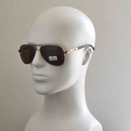 Поляризовані сонцезахисні окуляри 3002 Everon Polarized Бронзове Золото/Коричневий