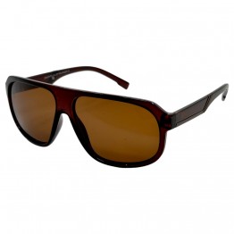 Поляризованные солнцезащитные очки 3140 Graffito Polarized Коричневый Глянцевый