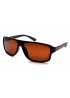 Поляризовані сонцезахисні окуляри 3172/2 Graffito Глянсовий коричневий