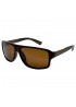 Поляризовані сонцезахисні окуляри 3172/2 Graffito Polarized Коричневий Глянсовий