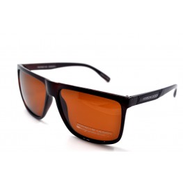 Поляризованные солнцезащитные очки 8606 PD Коричневый Глянцевый